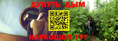 индика Партизанск