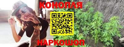 индика Партизанск