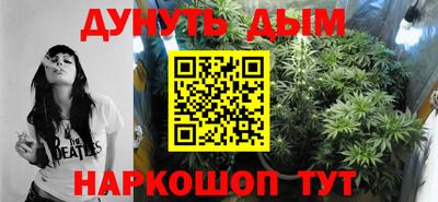 индика Партизанск