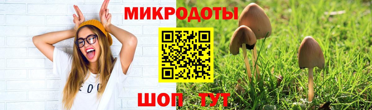 Галлюциногенные грибы GOLDEN TEACHER Туапсе